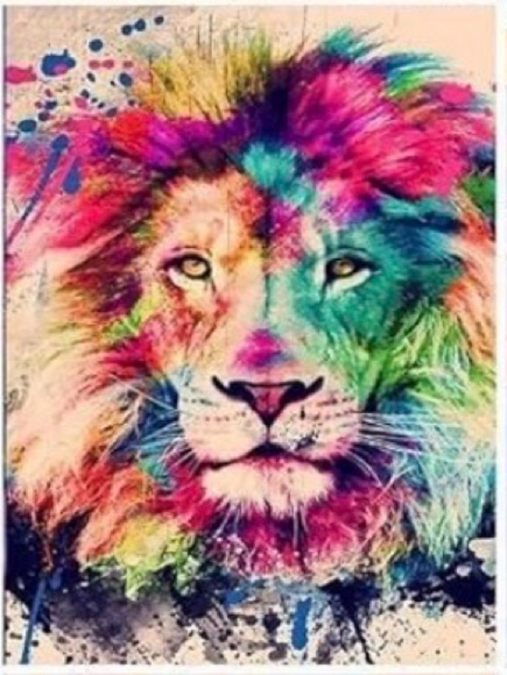 Diamond Painting Kit Rainbow Lion Colorful Pink Blue Green 30x40cm DIY Art Craft